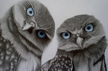 image credit: www.wallpaperhere.com