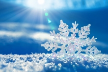 image credit:  www.wallpaperhere.com