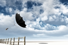 image credit: www.wallpaperhere.com