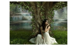 Image credit: hdwallpapersfree.eu