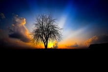 Image credit: www.wallpaperhere.com