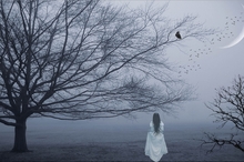 Image credit: www.wallpaperhere.com