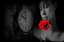 Image credit: www.wallpaperhere.com