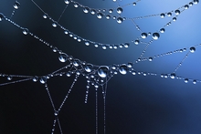 Image credit: www.wallpaperhere.com