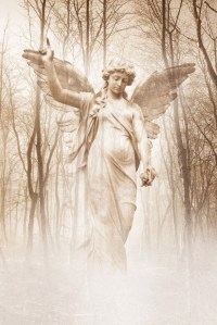 Image credit: Heartland Arts