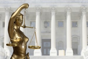 Image credit: Andrey Burmakin