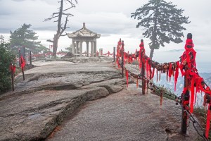 Image credit: Kiwisoul