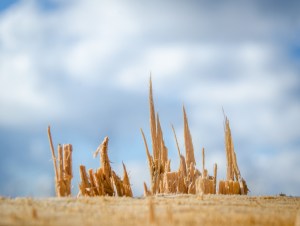 Image credit: Mr Doomits