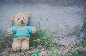 Image credit: stockphotocatacart/Shutterstock.com