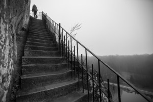 Image credit: Tobias Arhelger/Shutterstock.com