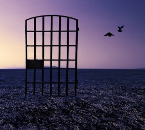 Image Credit: wood95/Shutterstock.com