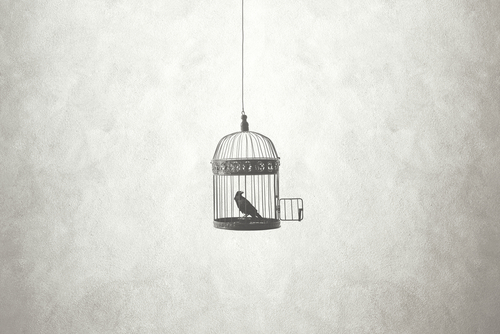 shutterstock_755020597